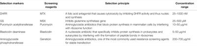 Screening Strategies for High-Yield Chinese Hamster Ovary Cell Clones